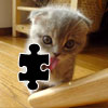 Puzzle Kitten