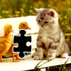 Puzzle Kitten & Ducks