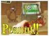 Peanut