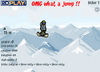 Snowboard Stunts