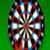 501 Darts